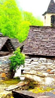 Камера сняла, как всё случилось