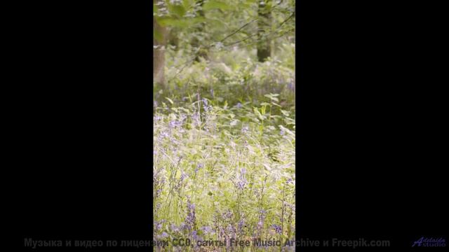 Ты не сможешь остаться равнодушным - это невозможно! - Couple Goals -- Tadz -- Soul Symphonies Vol.1