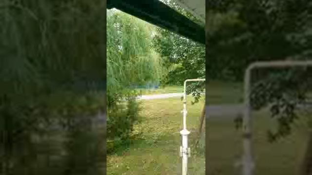 травля