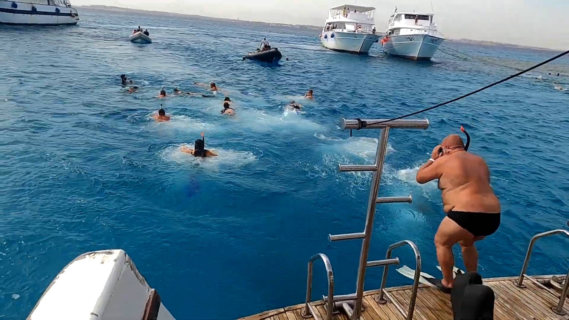 ИНТЕРЕСНАЯ морская экскурсия/Купание ДЕЛЬФИНАМИ/подводная съёмка/ Египет/ ноябрь 2023