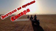 Экстрим на квадроциклах по пустыне "Сахара" I 30 км в одну сторону I Позвоночник в хлам, песок везде