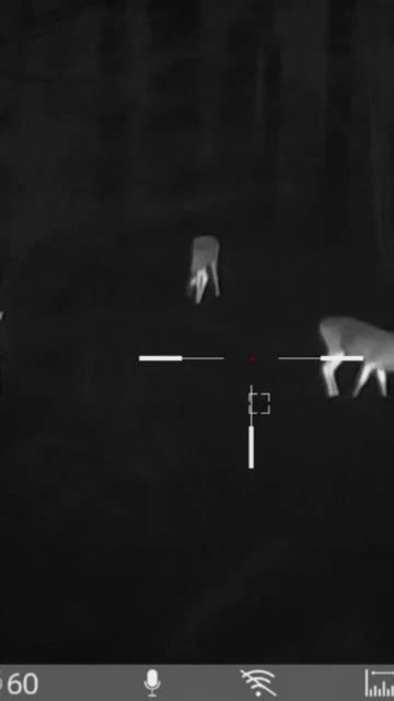 охота на косулю #охотник #волк #охотник #тепловизор #охота #охотамоёхобби #охотавидео #лесник