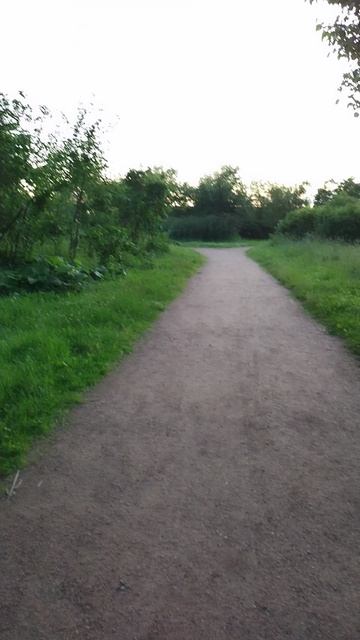 Занимаюсь скандинавской ходьбой, 1 июля 2025.