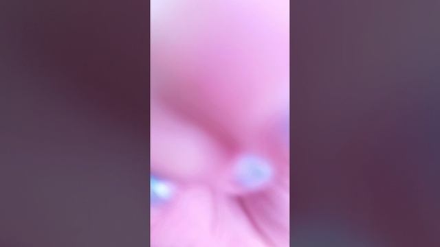 1000005494.mp4