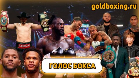 Уайлдер вернулся, Хэйни против Нормана, Джейк Пол побил Чавеса, реванш Юбэнк-Бенн, Скофилд, Мбилли