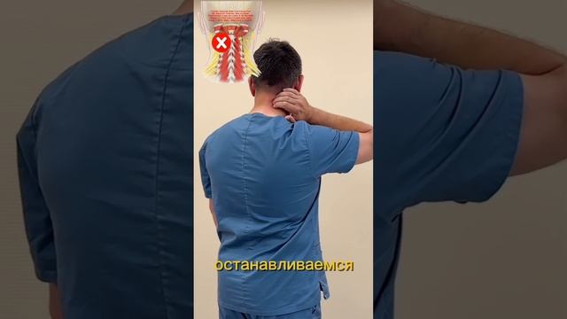 Боль в шее и затылке не остеохондроз а мышцы