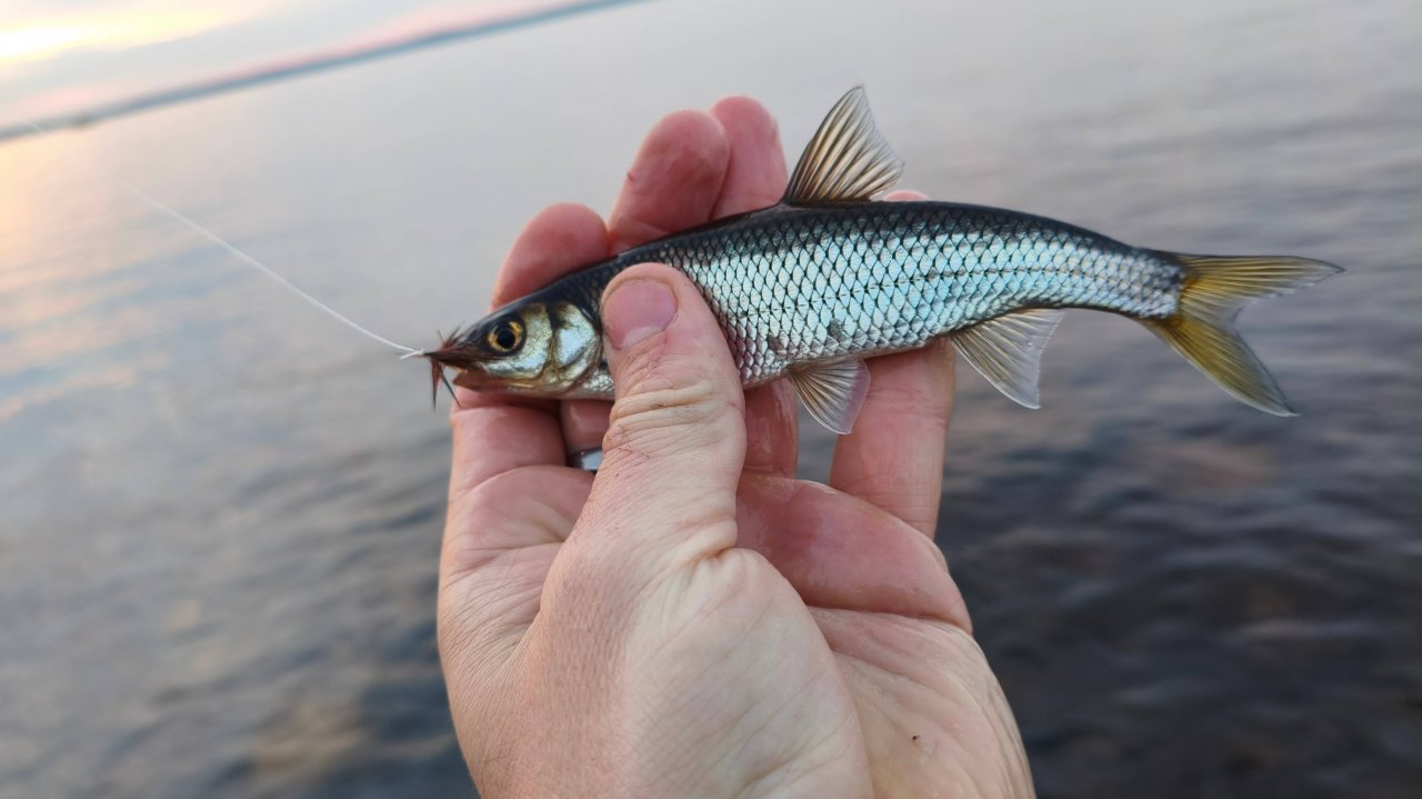 YouCut_20250703_014515936