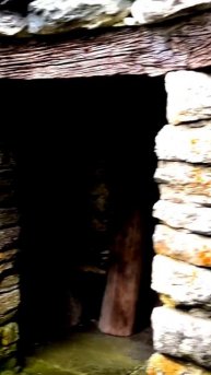 Поймано на лету