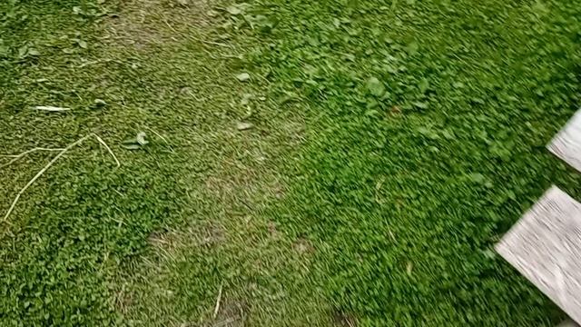 Дом у озера. Без прелестей цивилизации.