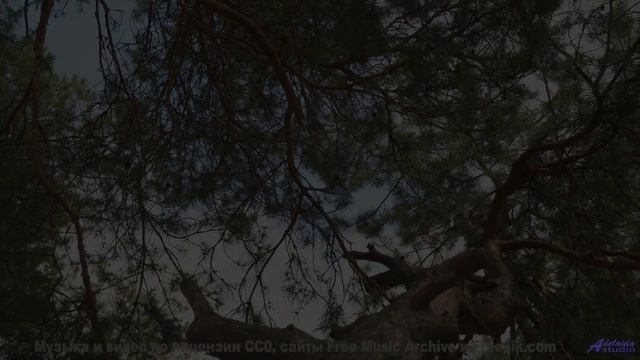 Природные кадры, от которых учащается пульс - вы готовы - Feeling Safe -- One Man Book -- Brand New