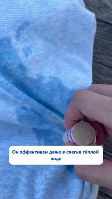 Арт WB #252199066 Ozon #1663832082 Энзимный карандаш избавит от пятен без стирки💙 #длядачи #отпятен