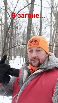 охота на лося #охотник #волк #тепловизор #охота #охотамоёхобби #охотавидео #iray #шакал #лесник