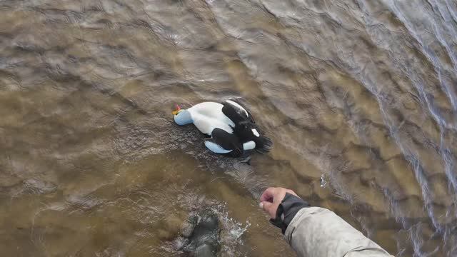 ОХОТА НА УТОК В СЕВЕРНОЙ ЯКУТИИ 2025