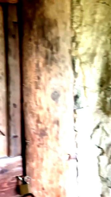 Камера засняла невероятное