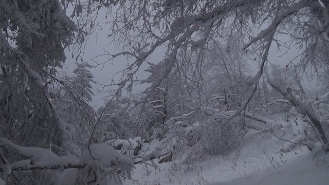 2016 Урал Бакты