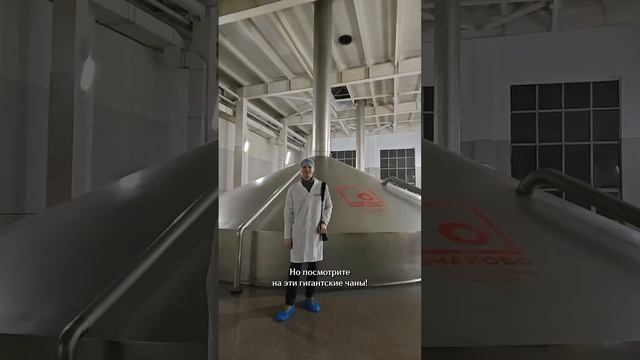 Самая пивная экскурсия! #путешествияпороссии #пиво #пивоварение #завод #очаково #москва #тревелвлог