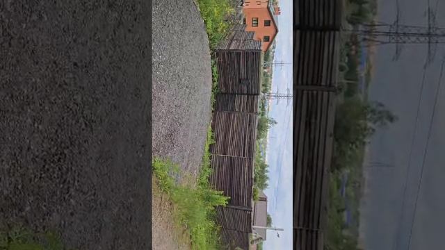 Видео участок Сходня
