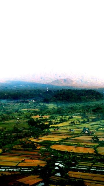 Камера зафиксировала историю