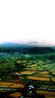 Камера зафиксировала историю