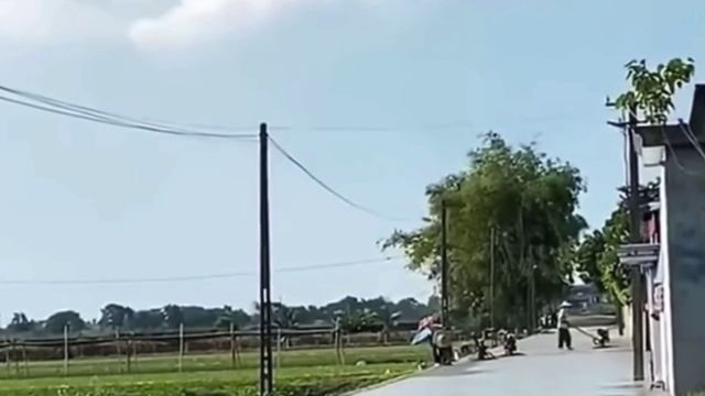 Нужно поближе посмотреть, что там мужик старательно с дорогой делает🤣