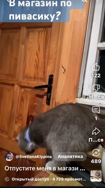 Iв магазин по пиву