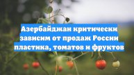 Азербайджан критически зависим от продаж России пластика, томатов и фруктов