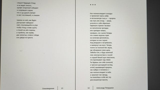 КНИГА 1020 Александр Петрушкин. Стихотворения Б.м.: Издательские решения, По лицензии Ridero, 2019