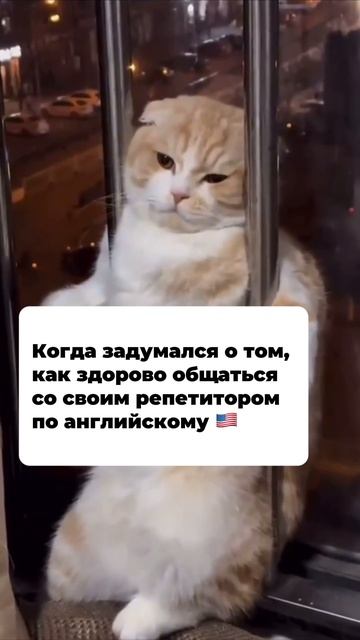 Круто, когда репетитор по английскому понимает с полуслова и помогает достичь именно ВАШИХ целей?