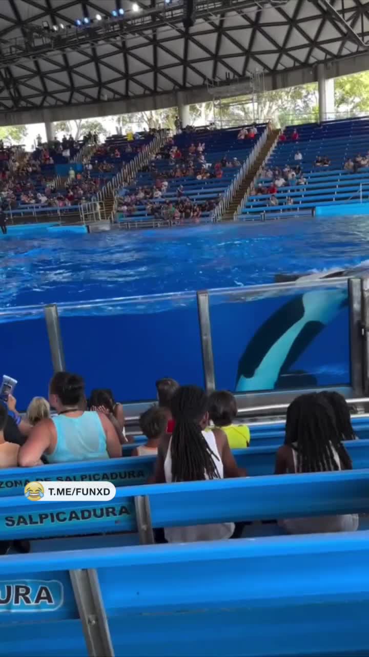 Это входило в программу?😆