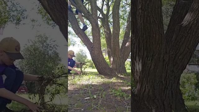 Челендж 30 минут на дереве