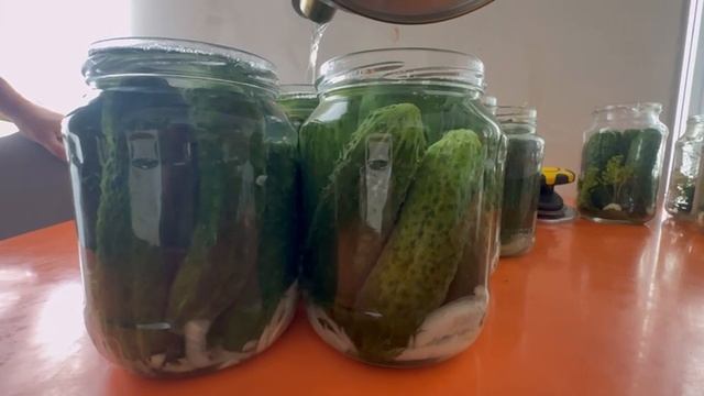 Маринованные огурцы как в магазине. Рецепт.