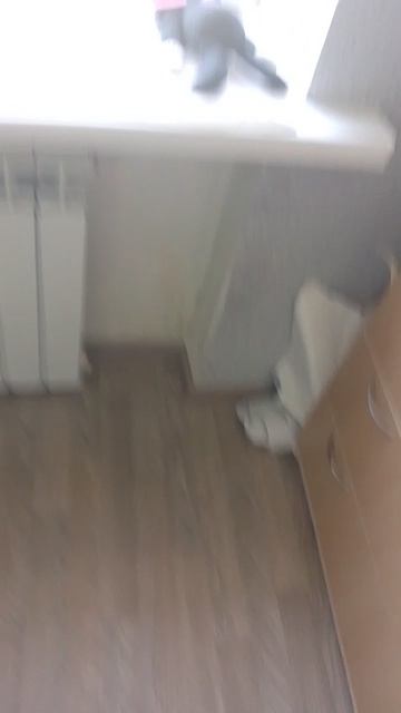 ничего на свете лучше нету чем бабах по Киеву ракетой