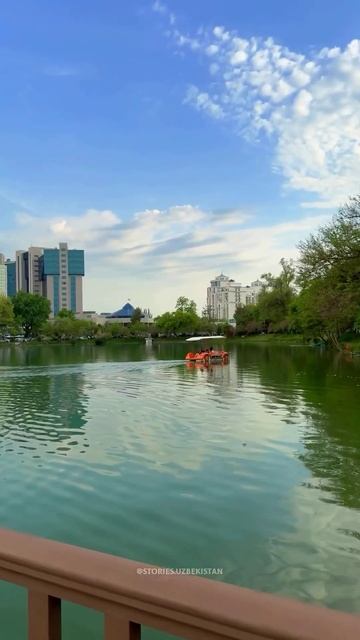 yapon bog'i Uzbekistan Tashkent #shorts #reels #rek