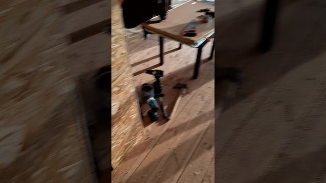 1000028234.mp4 (Собака наблюдает за установкой листов OSB на перегородки в доме Афрейм)