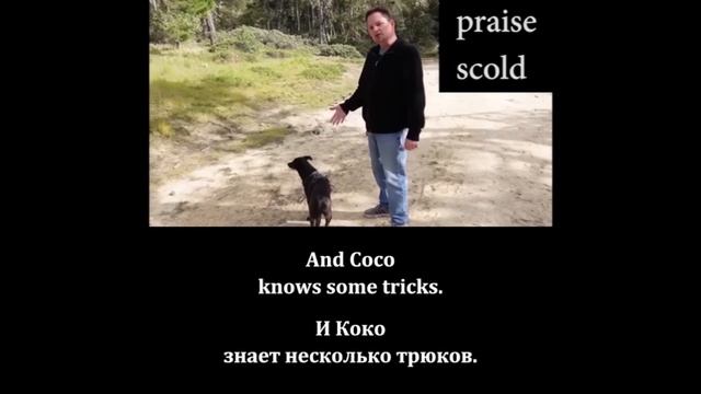 Listen to what English teachers say_On dogs from Kevin and Liza