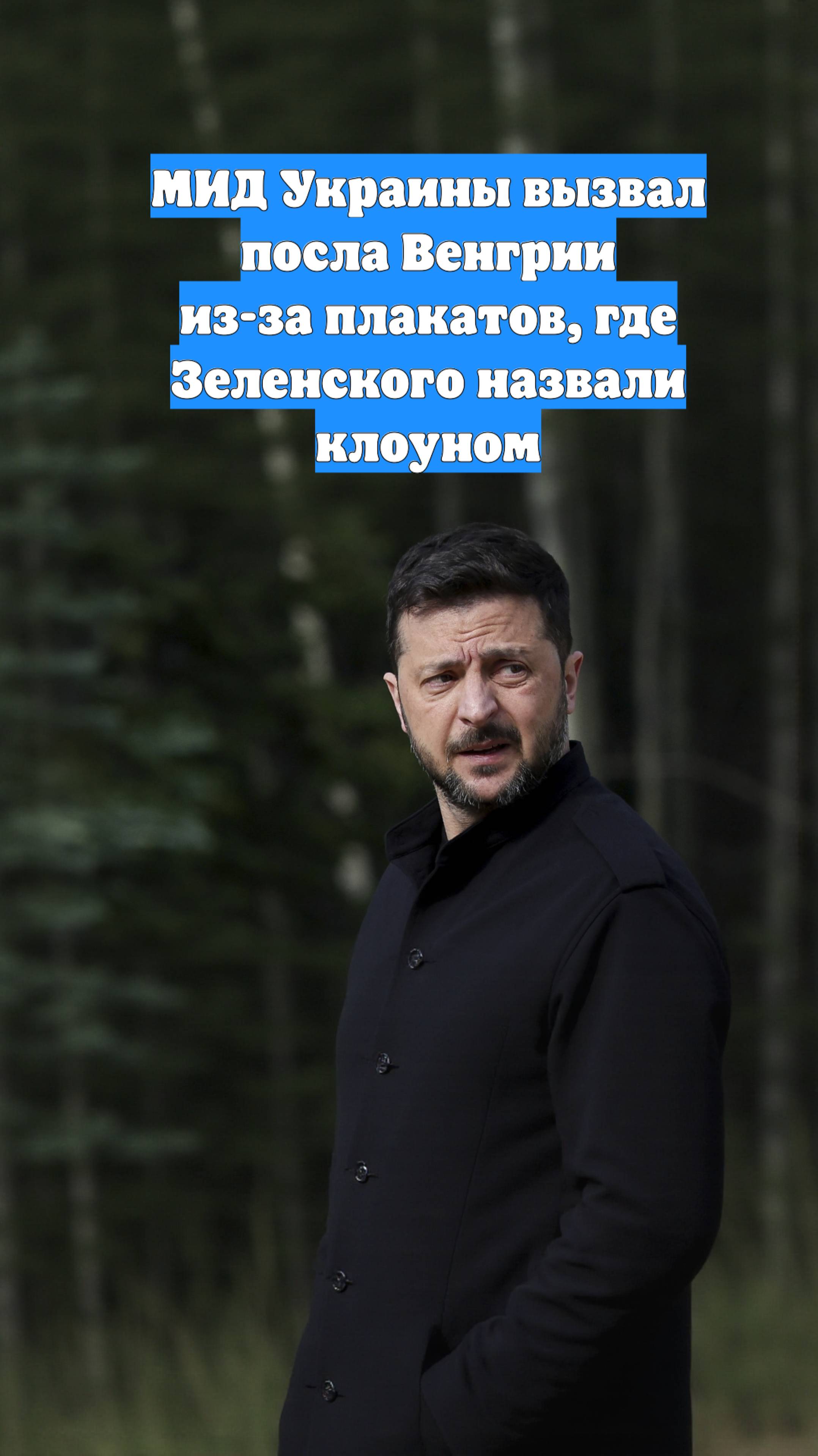 МИД Украины вызвал посла Венгрии из-за плакатов, где Зеленского назвали клоуном