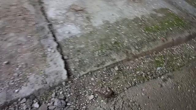 Жуткие крики на заброшке в лесу. Провалилась ногой под пол