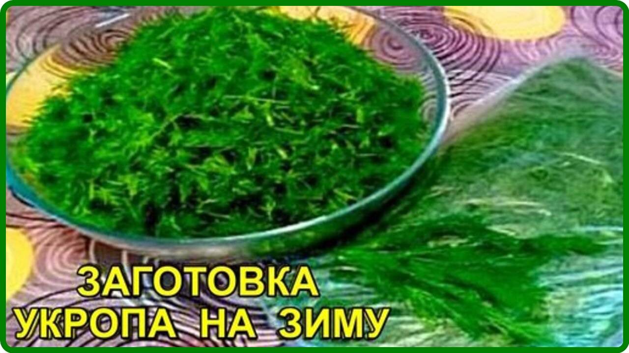 ЗАГОТОВКА УКРОПА НА ЗИМУ Аромат как будто только что сорвали с грядки Проверенный рецепт