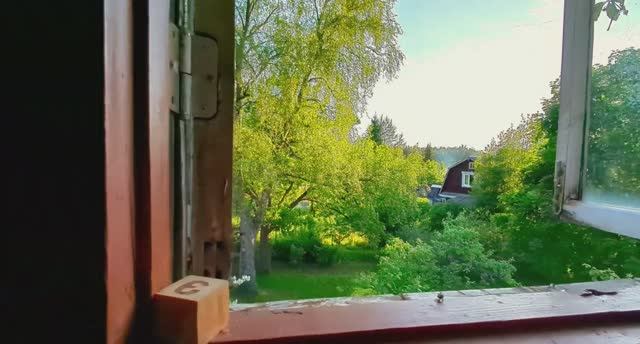 Лето. Дача. #дача #природа #отдых #уют