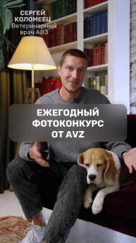 Ежегодный фотоконкурс от AVZ