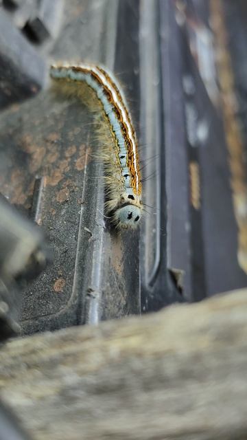 VID_20250623_134344.mp4