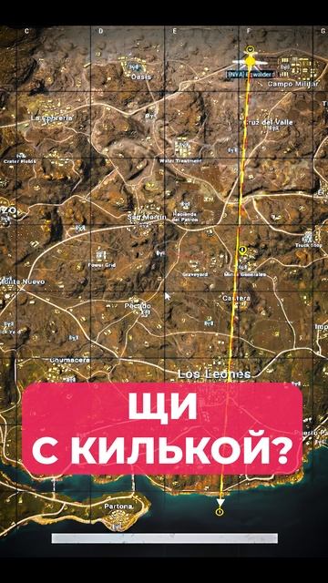 ЩИ С КИЛЬКОЙ?! НЕ ПРОБОВАЛ?! / PUBG