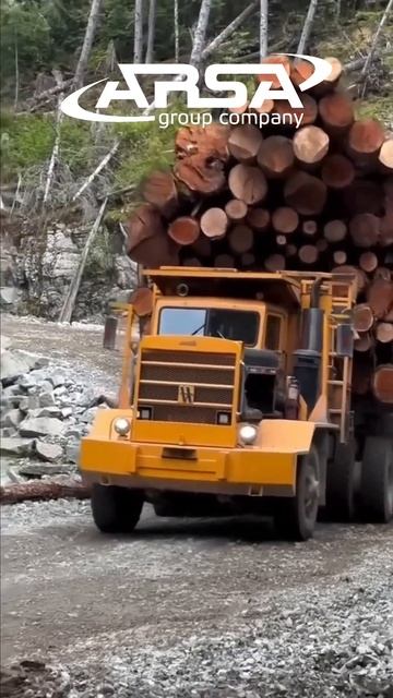 Нейросеть или нет?