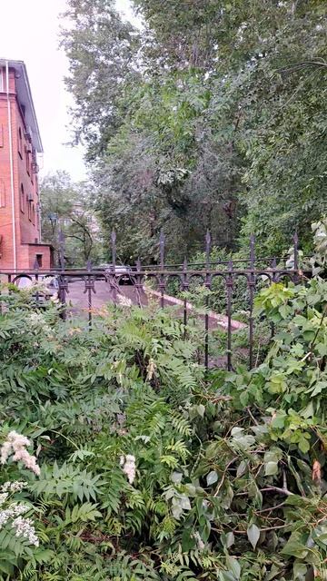 Упало дерево от сильного ветра, кабель не оборвало повезло