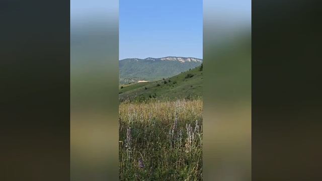Самая Залбекова.mp4