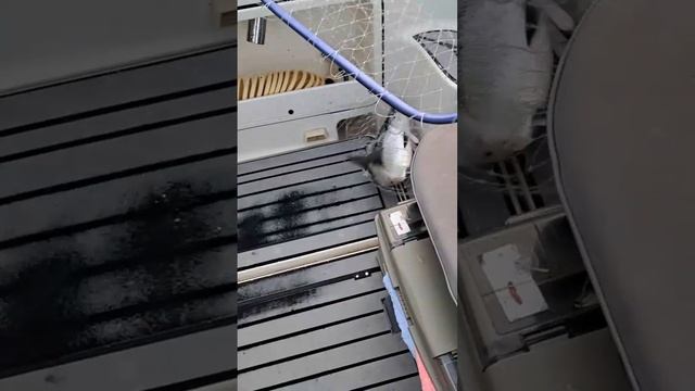 На рыбалке Василий, Дмитрий и Владимир Мусурок🤝🔥