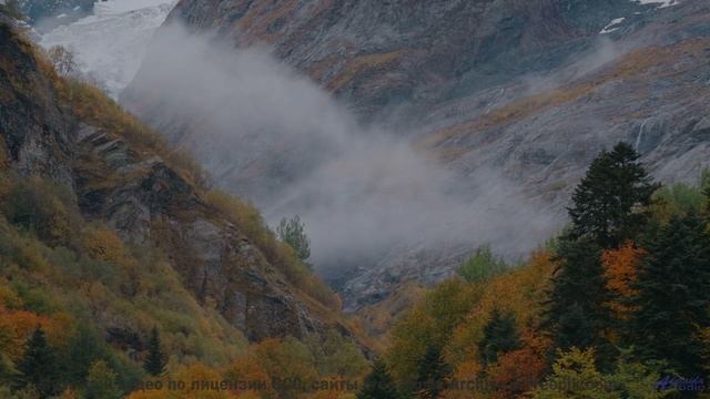 Лес под таким звуком кажется бесконечным и живым - Musik Liegt in Der Luft -- Phillip Gross -- Quart