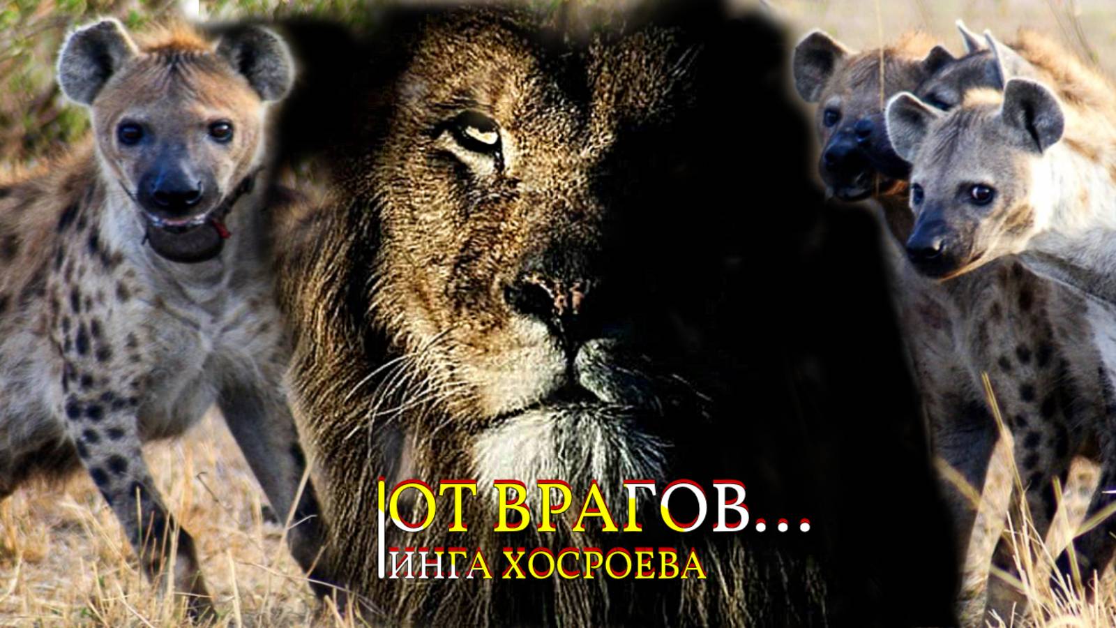 ОТ ВРАГОВ...ДЛЯ ВСЕХ...