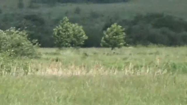 Велопробег. Красноватрасская школа.