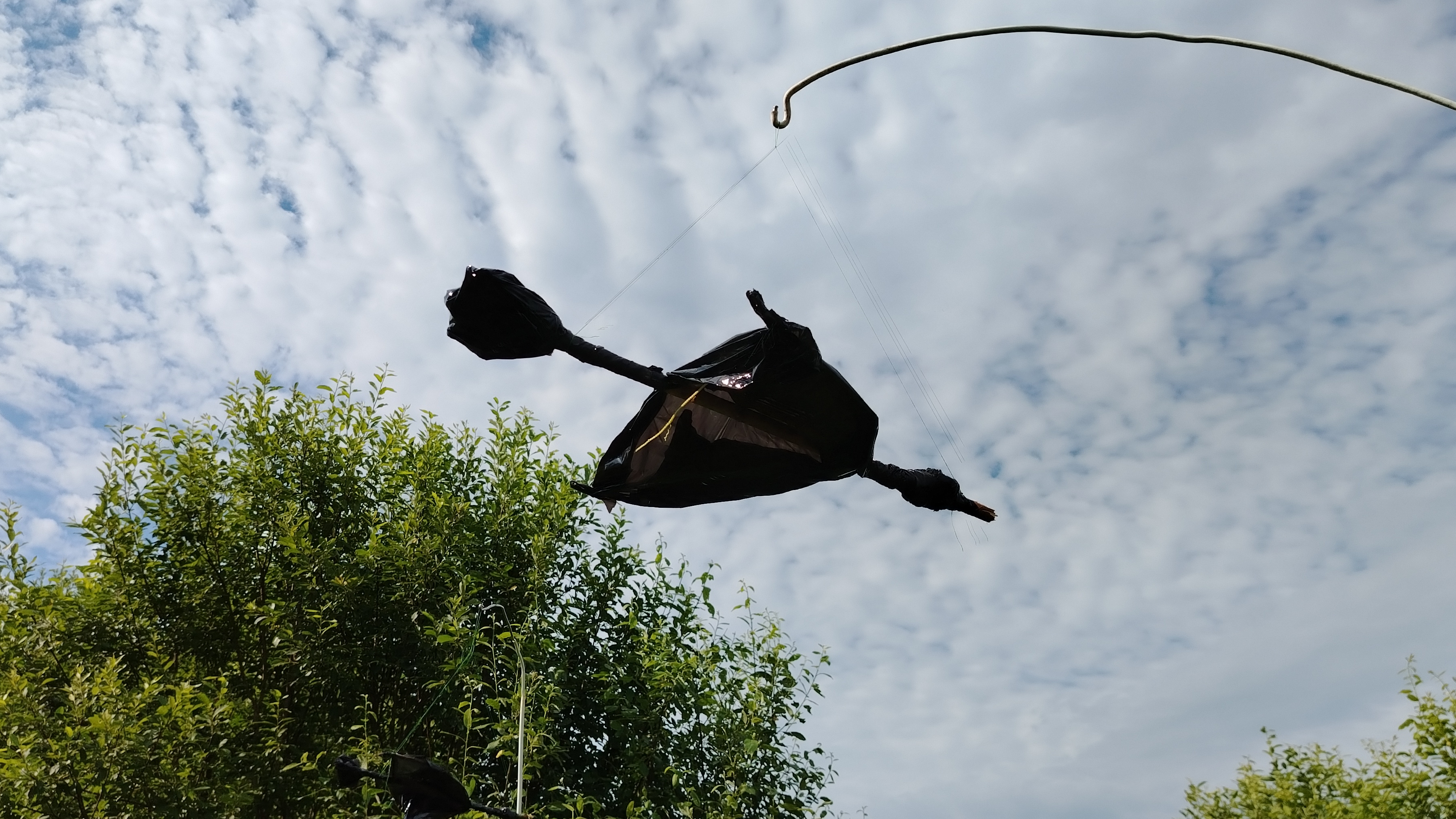 СПАСАЕМ УРОЖАЙ ЯГОД НА УЧАСТКЕ. Изготовим сокола за 5 минут. Ни один дрозд не залетит на ваш участок